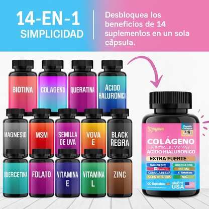 Complejo de colágeno de 5 tipos