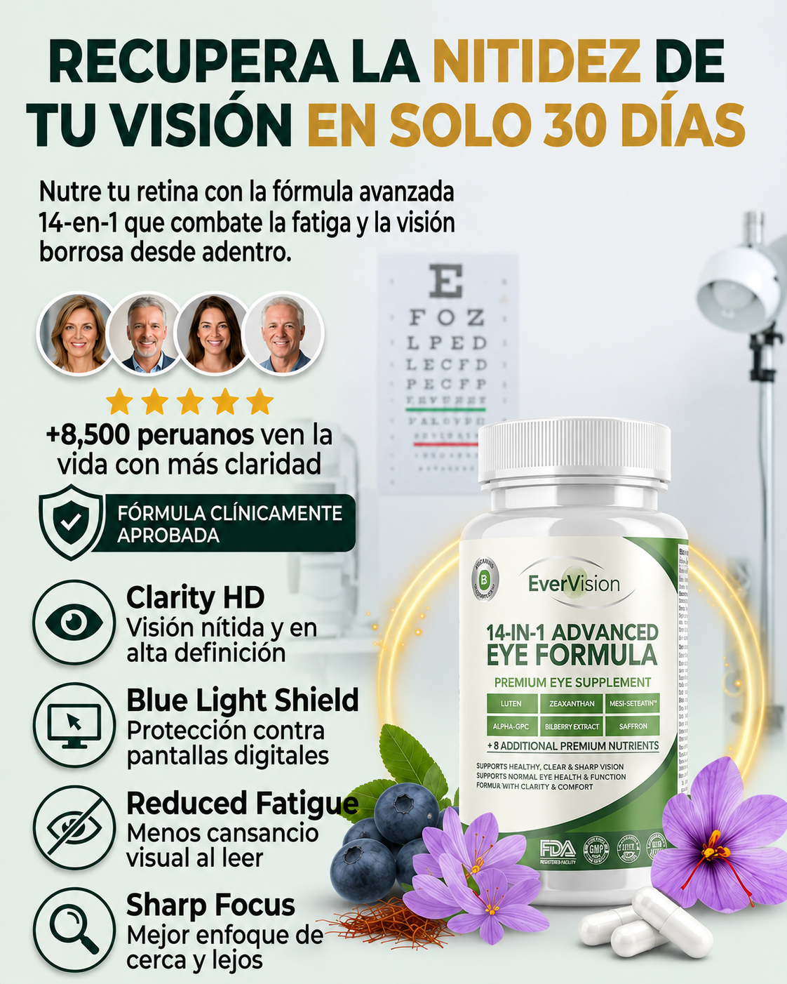 EVERVISION 14 EN 1