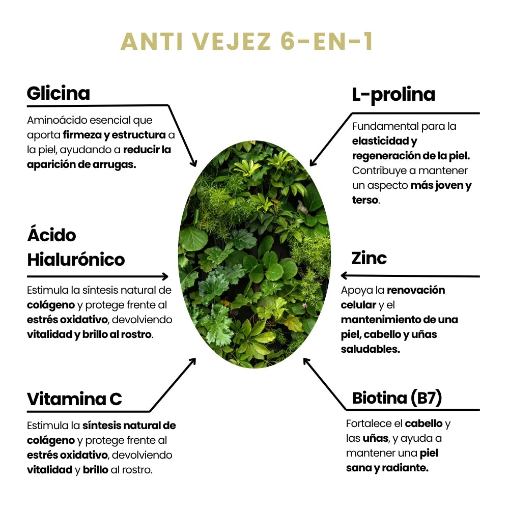 Primevital Colágeno+