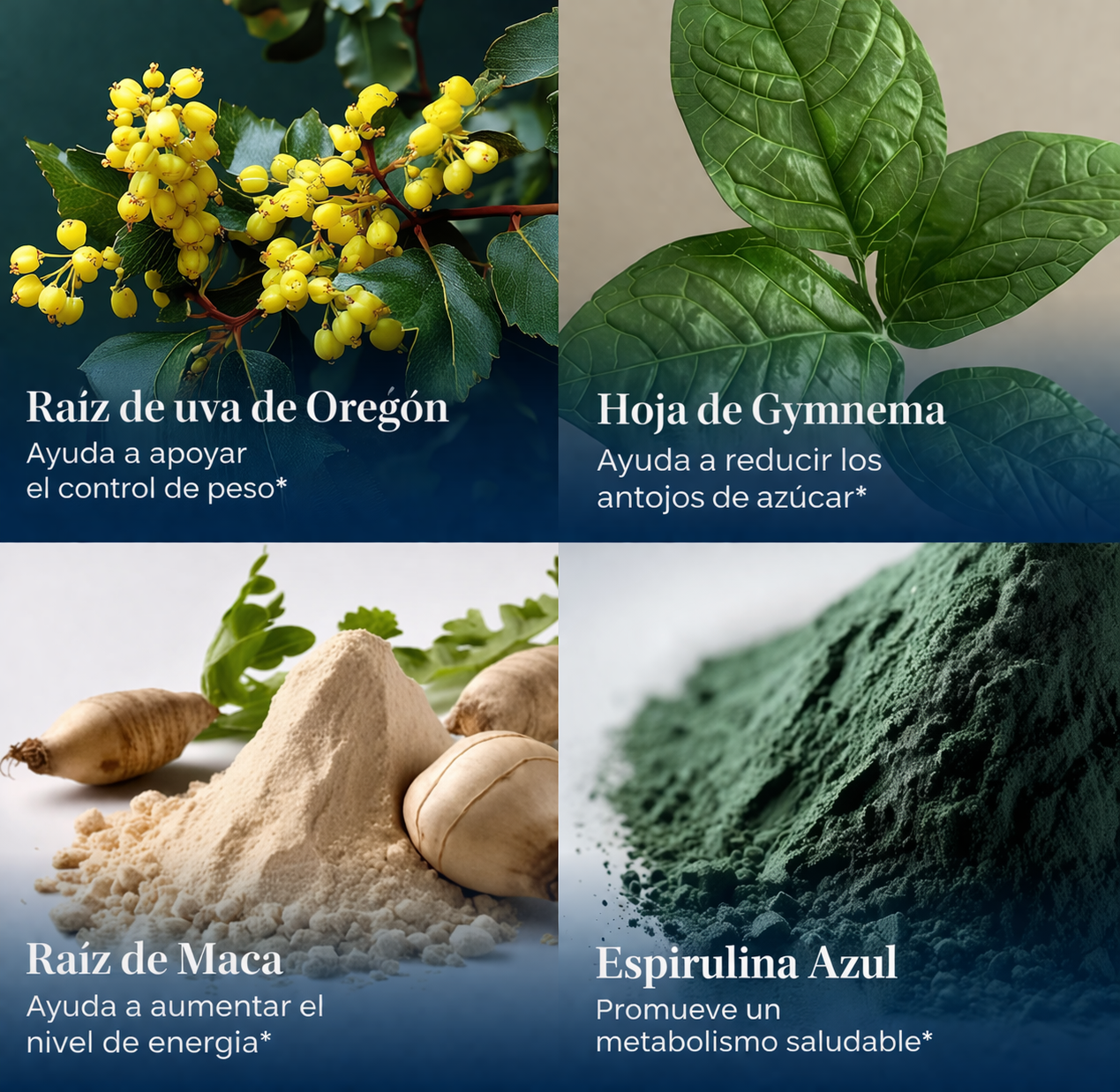 Gotas Herbales Blue Burn: Apoyo Metabólico y Control de Peso